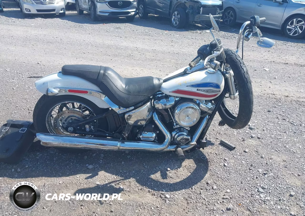 2026 Harley-Davidson Softail Custom VIN:1HD1BK91XTB037571 - 12