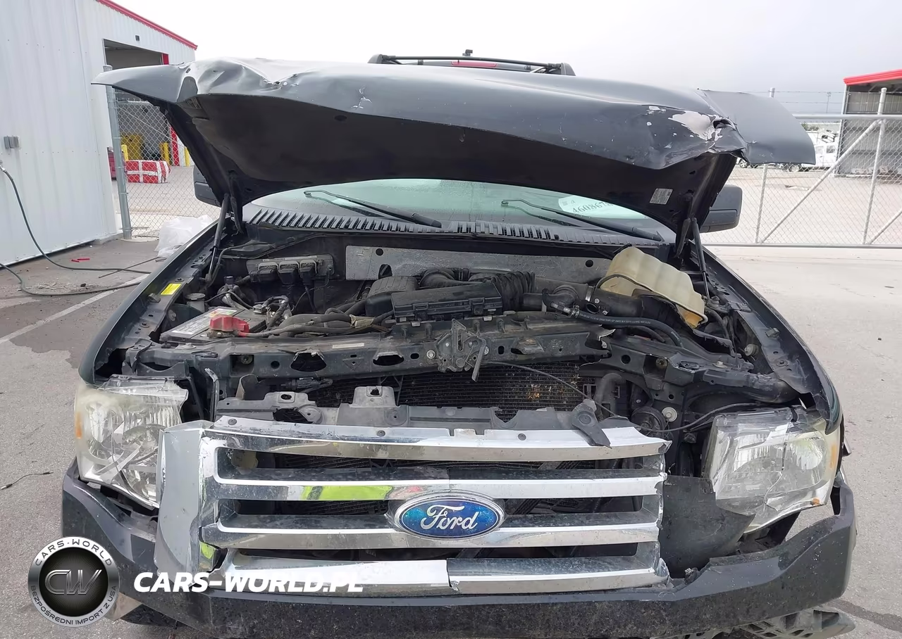 2009 Ford Expedition Eddie Bauer VIN:1FMFU18579EA84611 - 10
