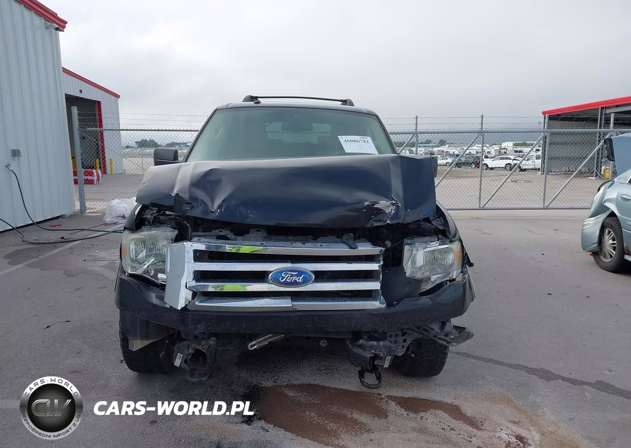 2009 Ford Expedition Eddie Bauer VIN:1FMFU18579EA84611 - 6