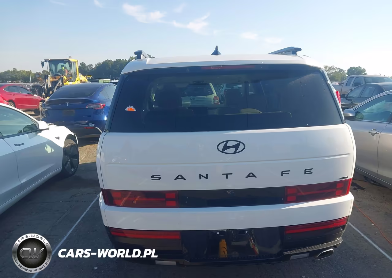2024 Hyundai Santa Fe Calligraphy VIN:5NMP5DGL3RH012471 - 16