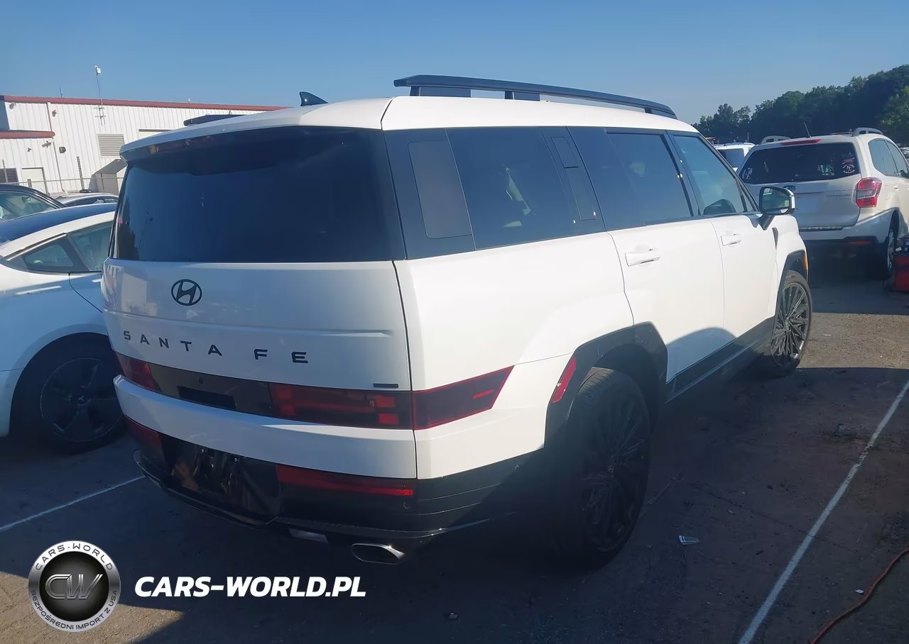 2024 Hyundai Santa Fe Calligraphy VIN:5NMP5DGL3RH012471 - 4