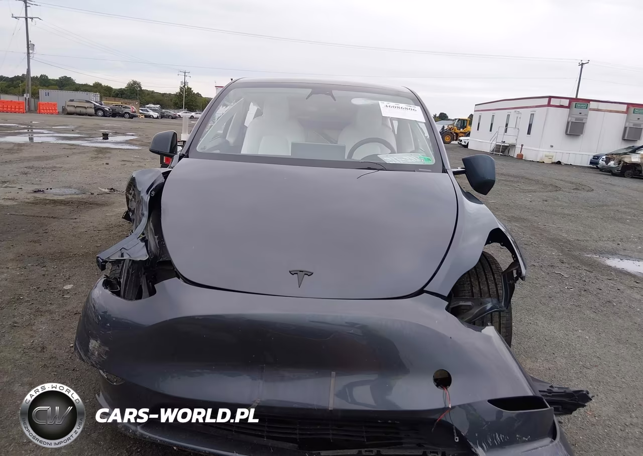 2023 Tesla Model Y Awd-Long Range Dual Motor All-Wheel Drive VIN:7SAYGDEE9PF597576 - 10