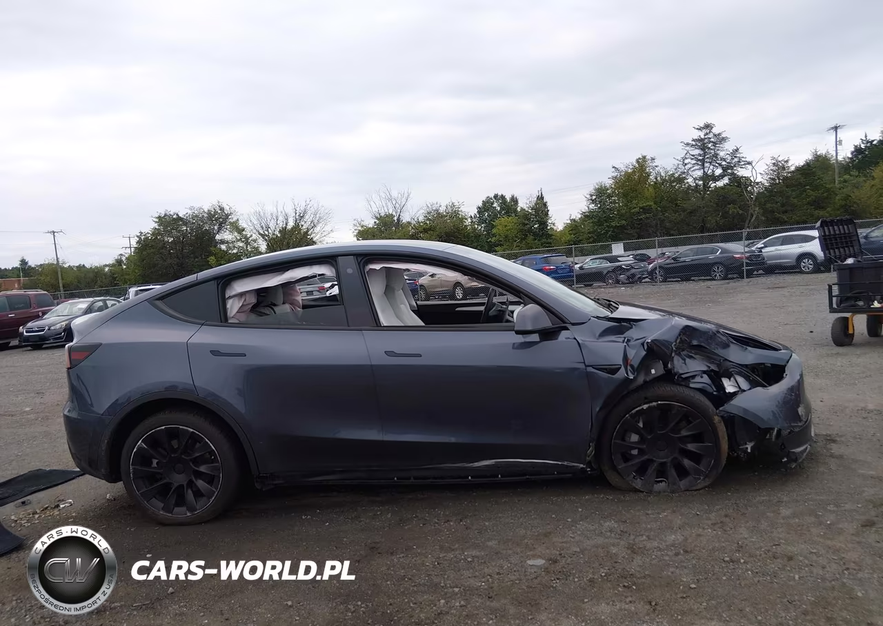 2023 Tesla Model Y Awd-Long Range Dual Motor All-Wheel Drive VIN:7SAYGDEE9PF597576 - 11