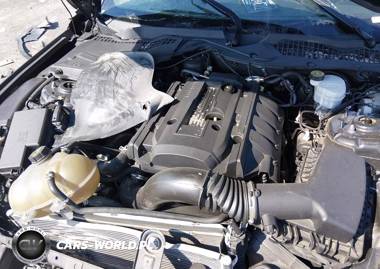 2019 Ford Mustang Ecoboost Premium VIN:1FA6P8TH9K5199955 - 10