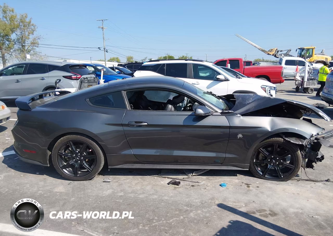 2019 Ford Mustang Ecoboost Premium VIN:1FA6P8TH9K5199955 - 12