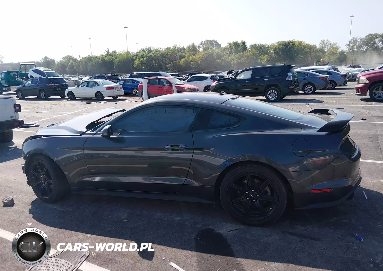 2019 Ford Mustang Ecoboost Premium VIN:1FA6P8TH9K5199955 - 13