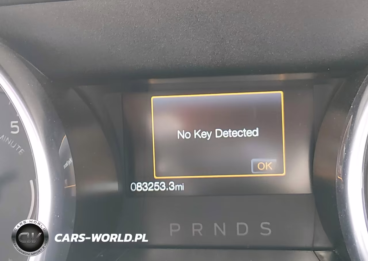 2019 Ford Mustang Ecoboost Premium VIN:1FA6P8TH9K5199955 - 14