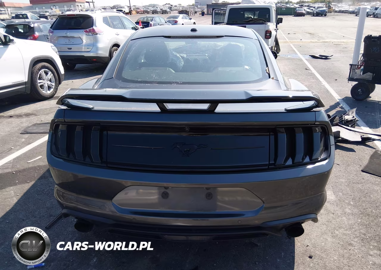 2019 Ford Mustang Ecoboost Premium VIN:1FA6P8TH9K5199955 - 15