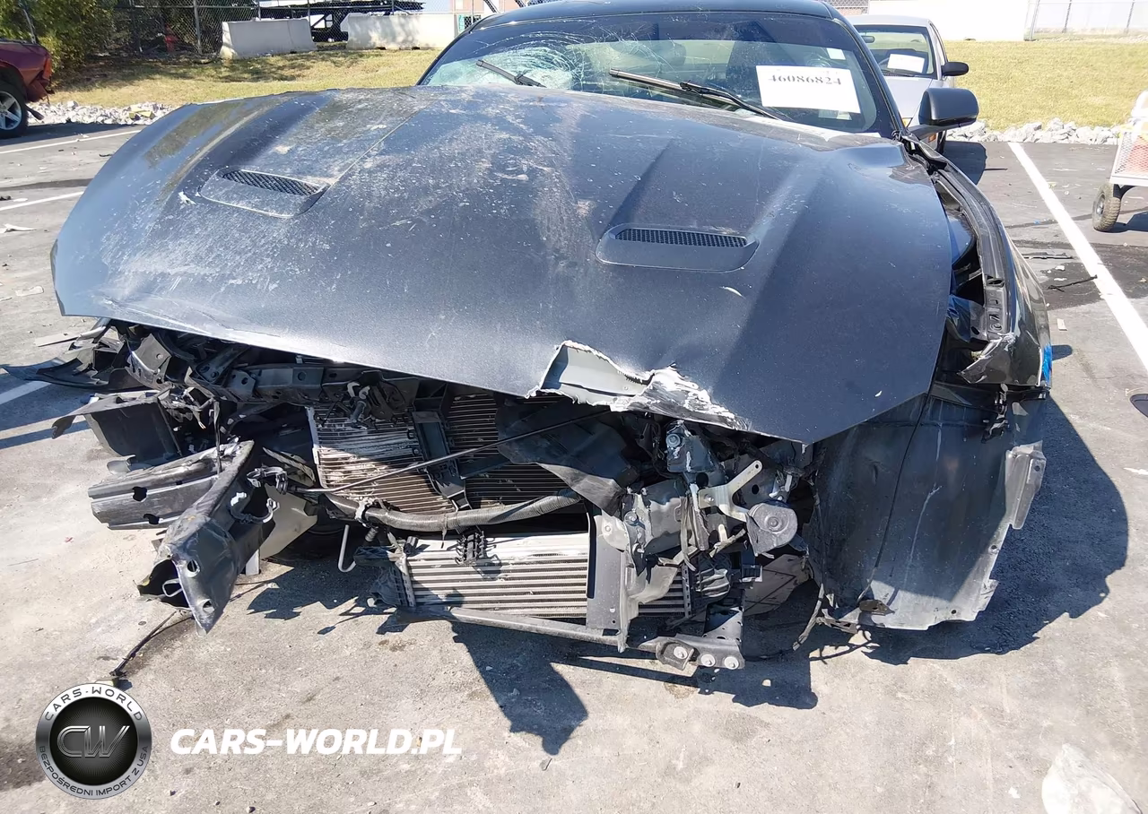 2019 Ford Mustang Ecoboost Premium VIN:1FA6P8TH9K5199955 - 16
