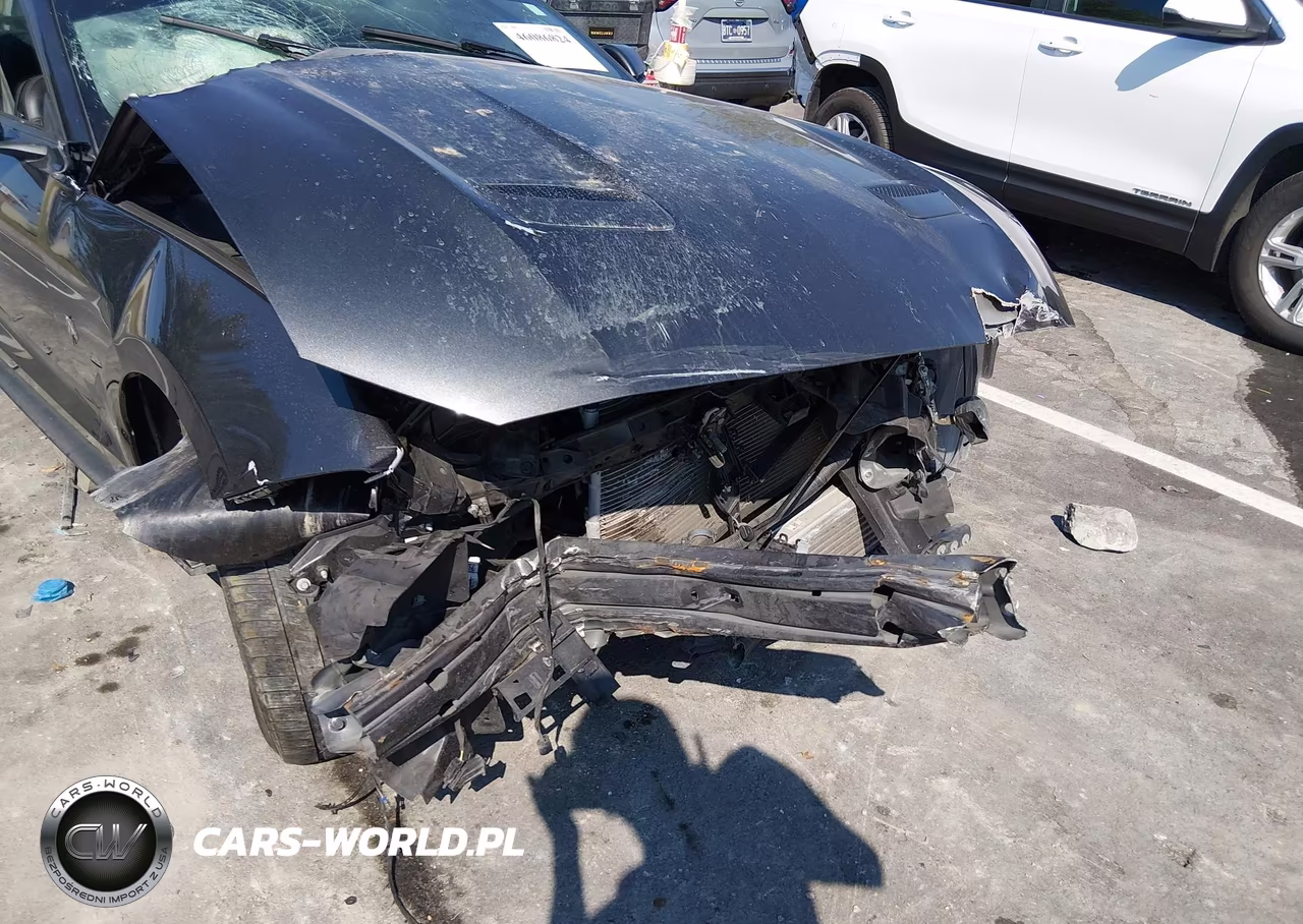 2019 Ford Mustang Ecoboost Premium VIN:1FA6P8TH9K5199955 - 17