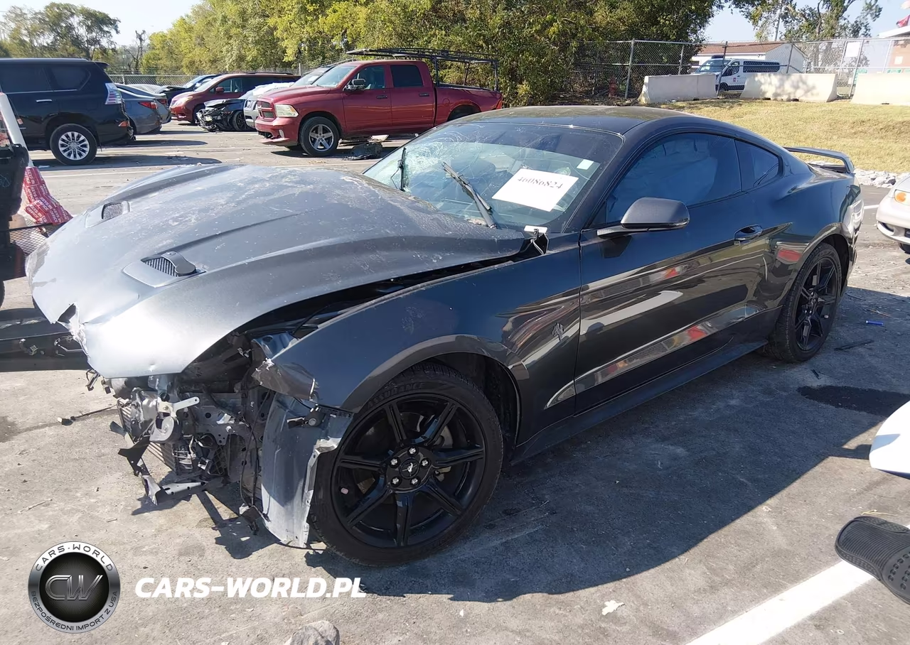 2019 Ford Mustang Ecoboost Premium VIN:1FA6P8TH9K5199955 - 2