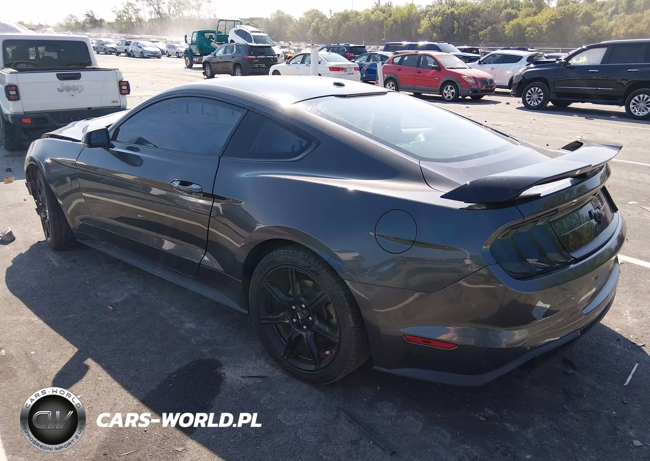 2019 Ford Mustang Ecoboost Premium VIN:1FA6P8TH9K5199955 - 3