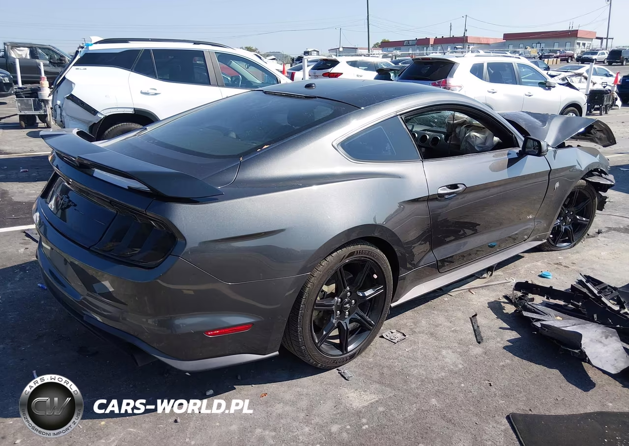 2019 Ford Mustang Ecoboost Premium VIN:1FA6P8TH9K5199955 - 4