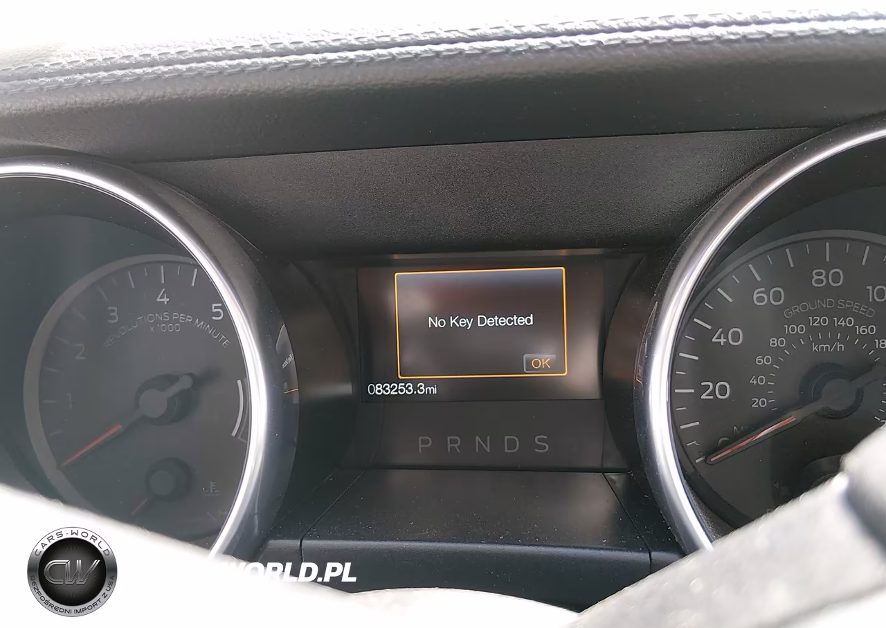 2019 Ford Mustang Ecoboost Premium VIN:1FA6P8TH9K5199955 - 7