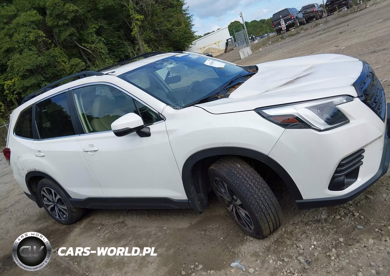 2022 Subaru Forester Limited VIN:JF2SKAPC1NH509081 - 13