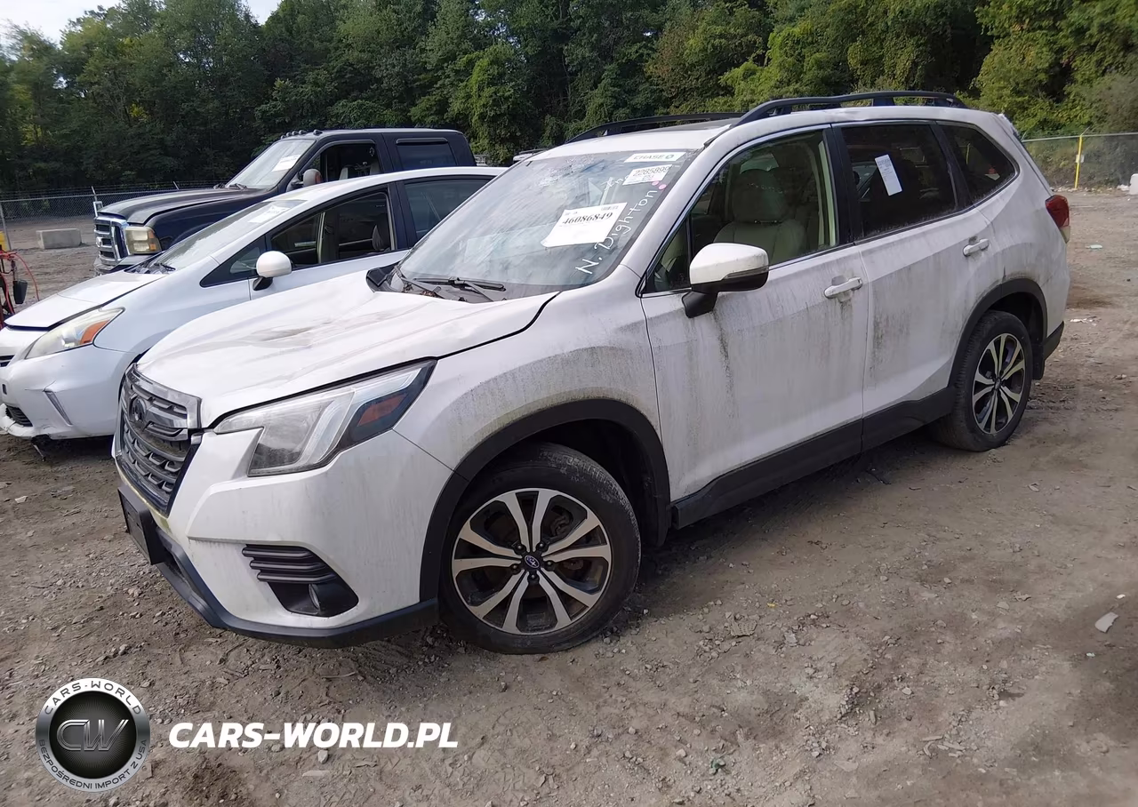 2022 Subaru Forester Limited VIN:JF2SKAPC1NH509081 - 2