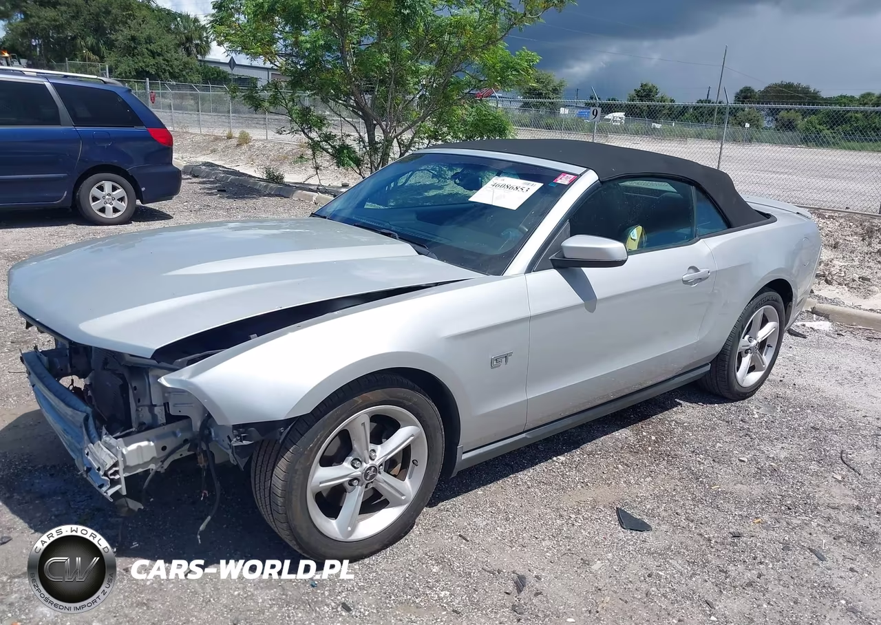 2010 Ford Mustang Gt Premium VIN:1ZVBP8FH4A5105478 - 2
