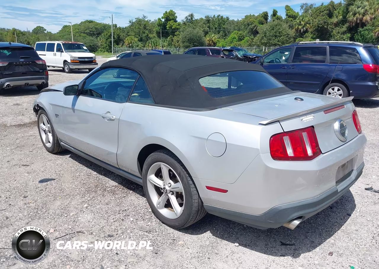 2010 Ford Mustang Gt Premium VIN:1ZVBP8FH4A5105478 - 3