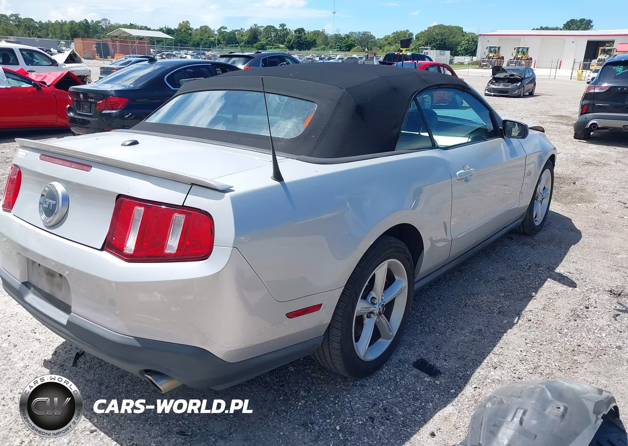 2010 Ford Mustang Gt Premium VIN:1ZVBP8FH4A5105478 - 4