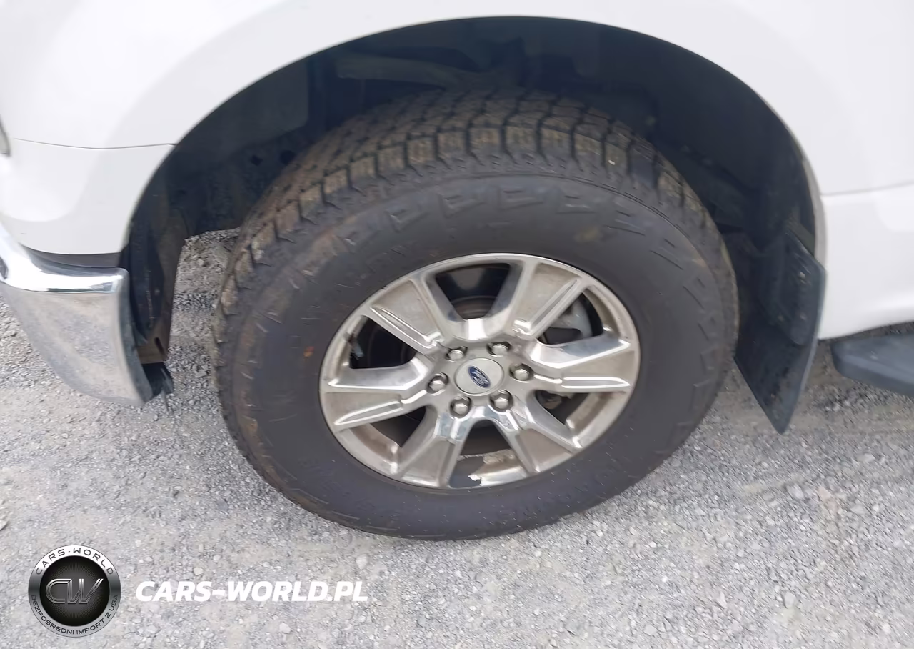 2015 Ford F-150 Xlt VIN:1FTEW1EG6FKD13955 - 12