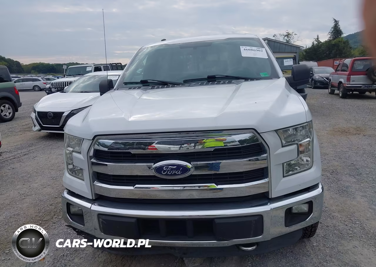 2015 Ford F-150 Xlt VIN:1FTEW1EG6FKD13955 - 13