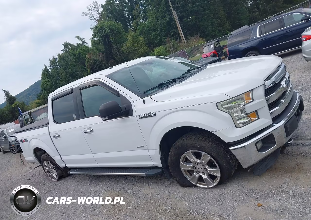 2015 Ford F-150 Xlt VIN:1FTEW1EG6FKD13955 - 14