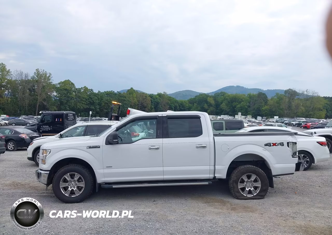 2015 Ford F-150 Xlt VIN:1FTEW1EG6FKD13955 - 15