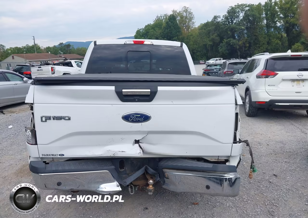 2015 Ford F-150 Xlt VIN:1FTEW1EG6FKD13955 - 17