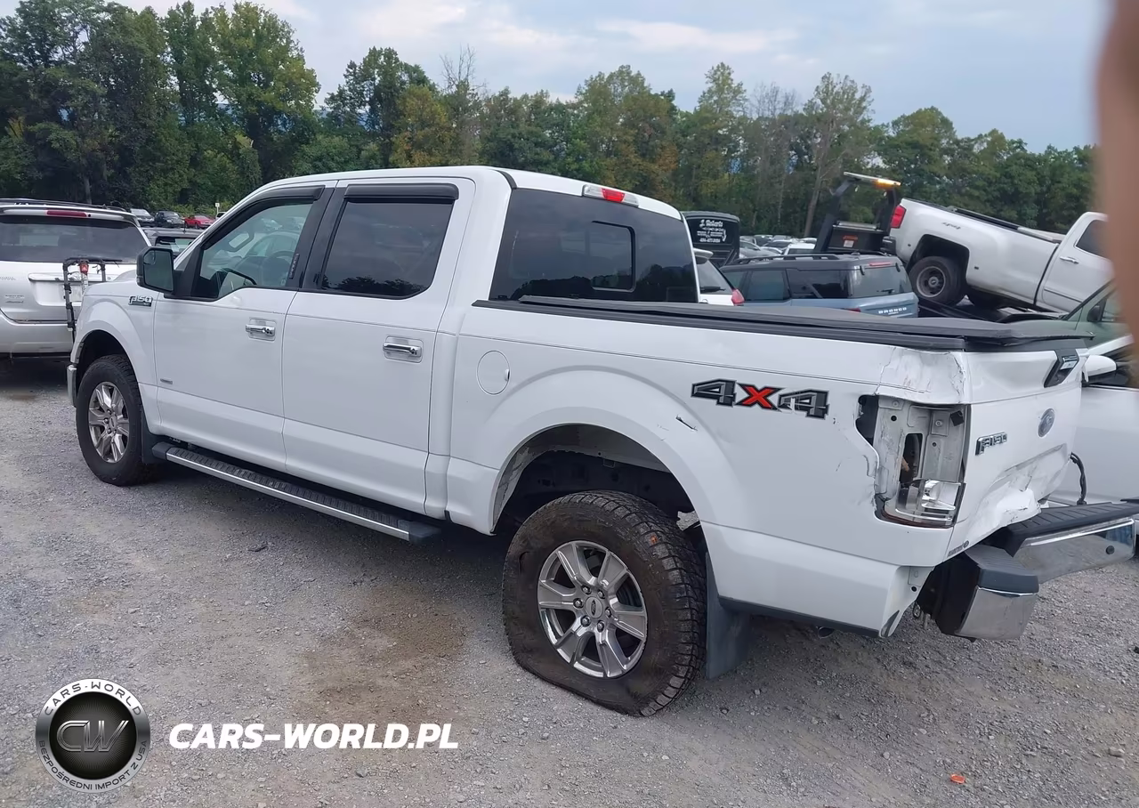 2015 Ford F-150 Xlt VIN:1FTEW1EG6FKD13955 - 3
