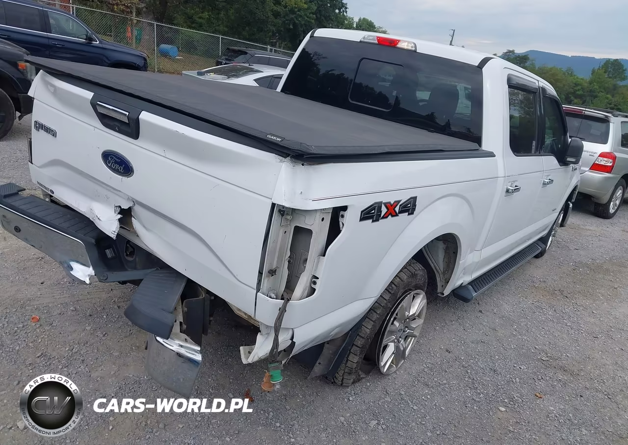 2015 Ford F-150 Xlt VIN:1FTEW1EG6FKD13955 - 4