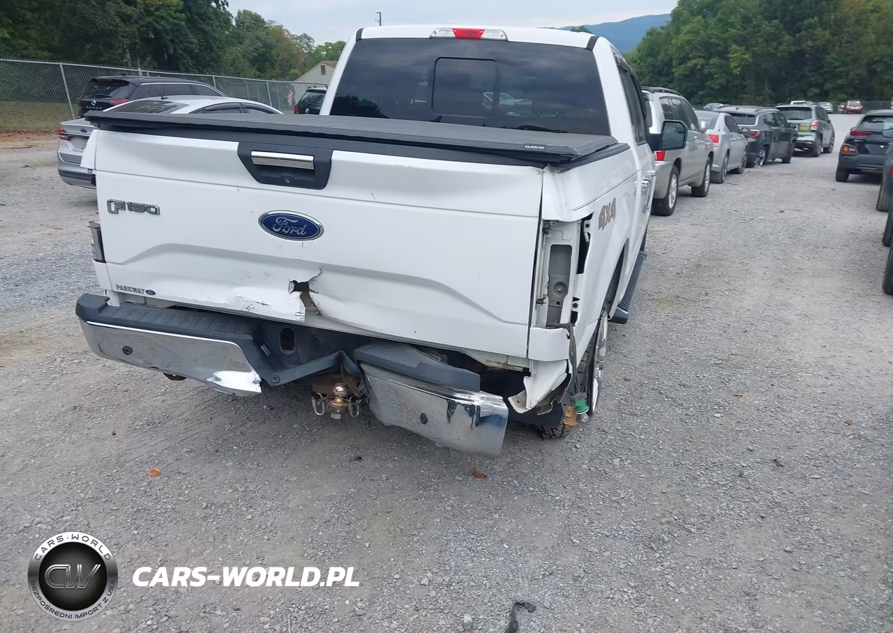 2015 Ford F-150 Xlt VIN:1FTEW1EG6FKD13955 - 6