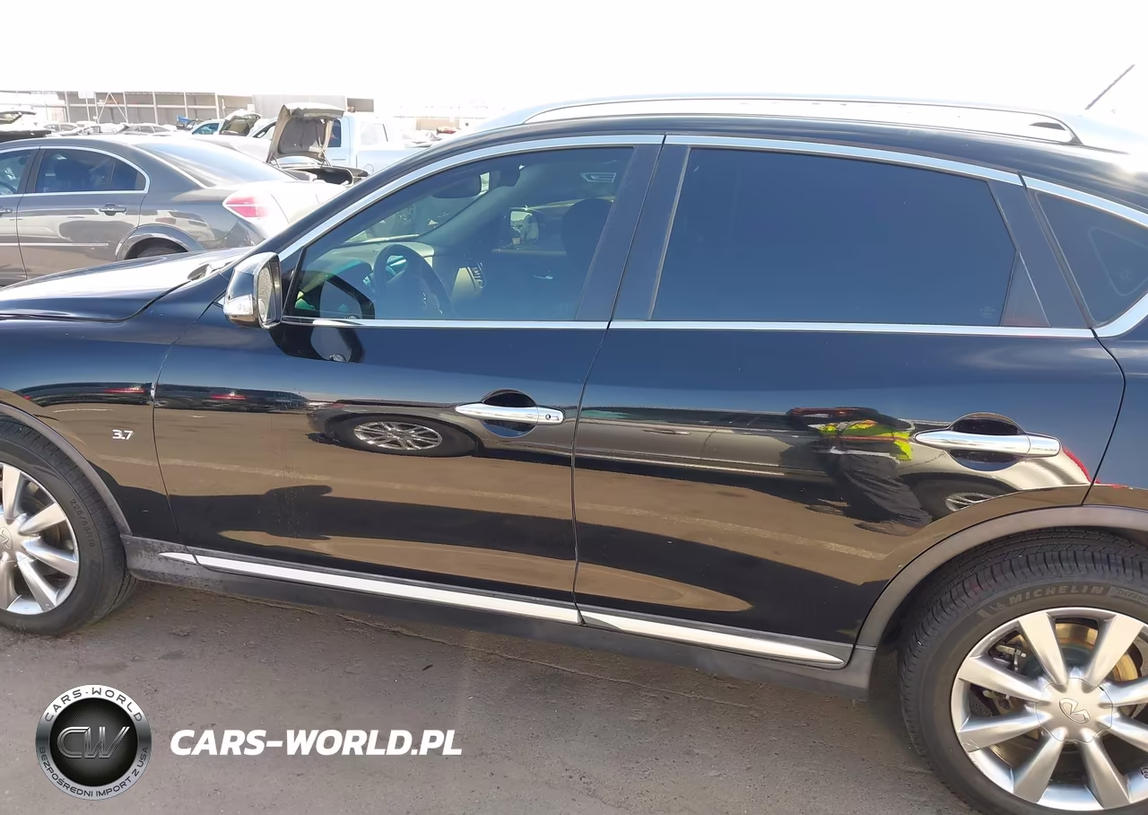 2017 Infiniti Qx50 VIN:JN1BJ0RP6HM383553 - 15