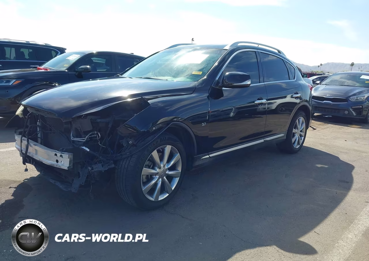2017 Infiniti Qx50 VIN:JN1BJ0RP6HM383553 - 2