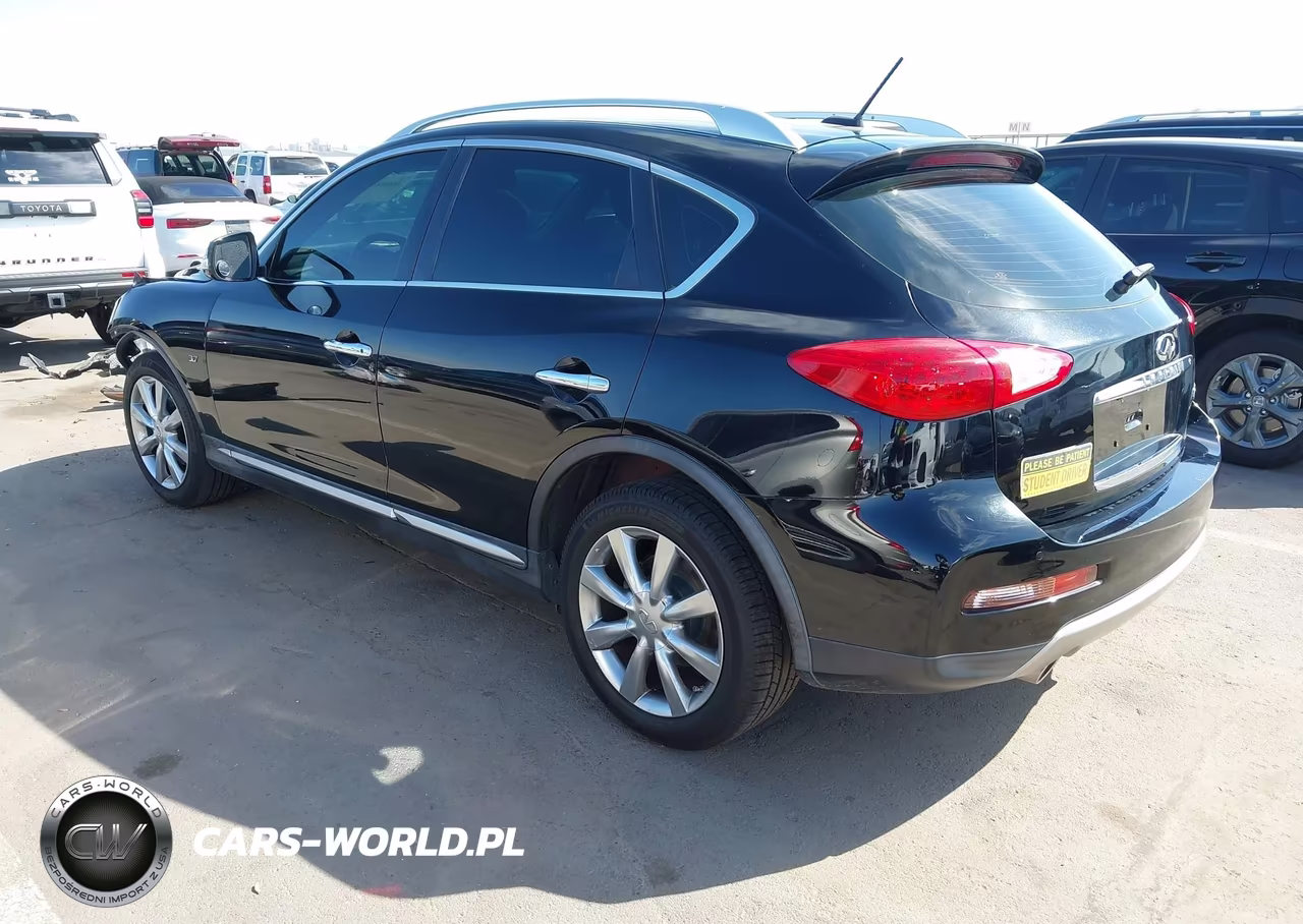 2017 Infiniti Qx50 VIN:JN1BJ0RP6HM383553 - 3