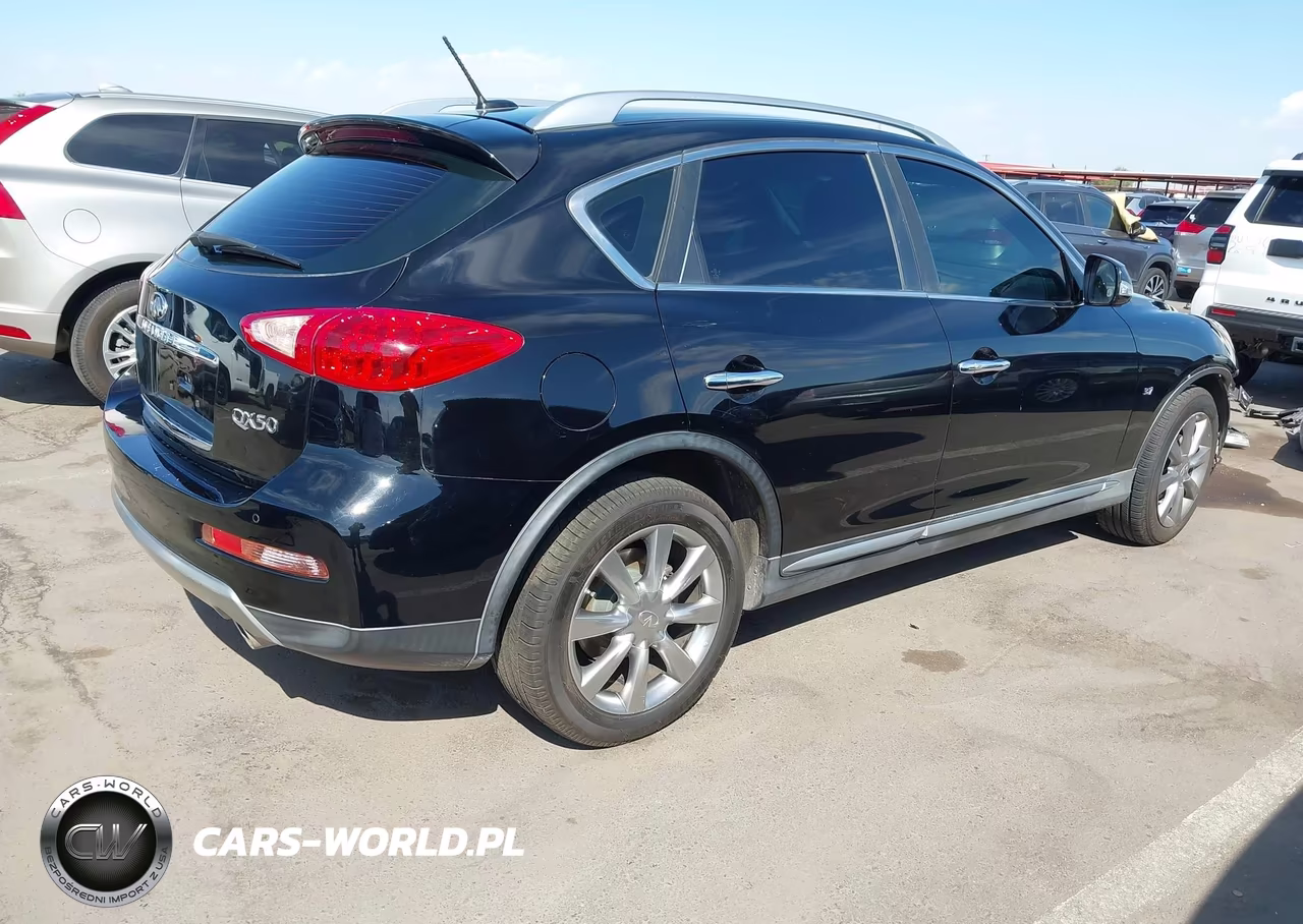 2017 Infiniti Qx50 VIN:JN1BJ0RP6HM383553 - 4