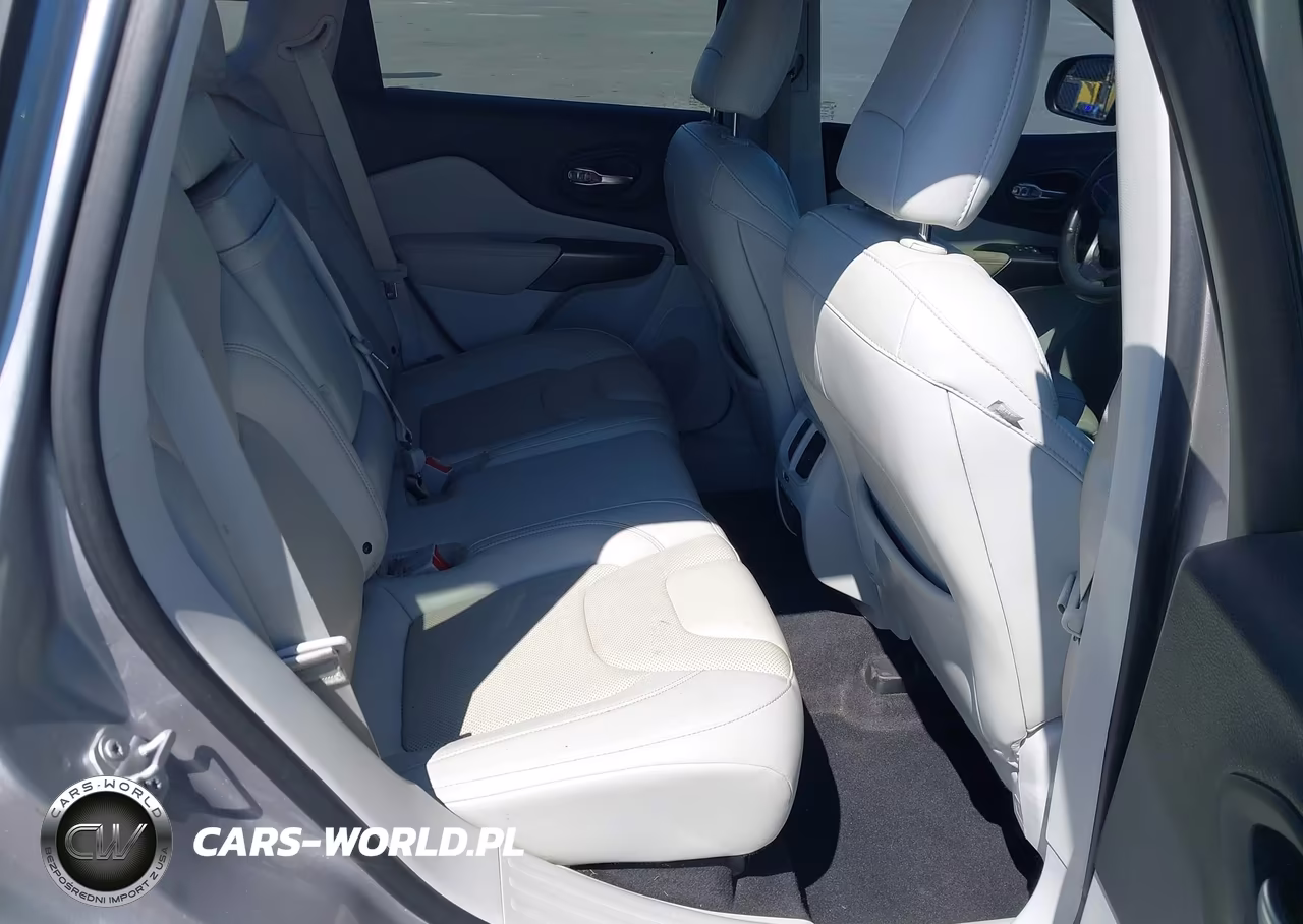2019 Jeep Cherokee Limited 4X4 VIN:1C4PJMDN1KD299468 - 8