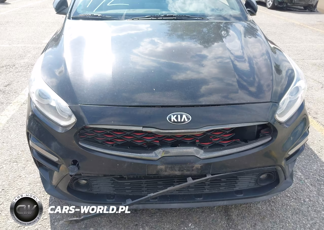 2020 Kia Forte Gt-Line VIN:3KPF34AD5LE217548 - 18