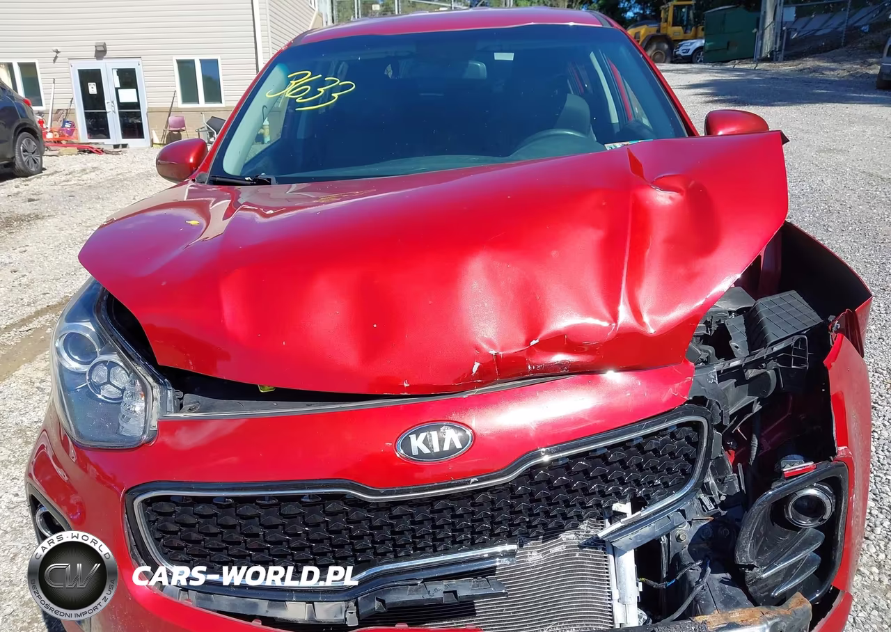 2019 Kia Sportage Lx VIN:KNDPMCAC8K7553633 - 10