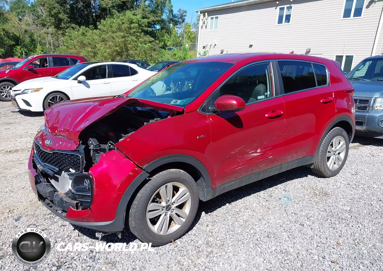 2019 Kia Sportage Lx VIN:KNDPMCAC8K7553633 - 2