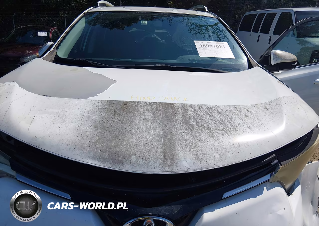 2016 Toyota Rav4 Xle VIN:2T3WFREV7GW281267 - 10