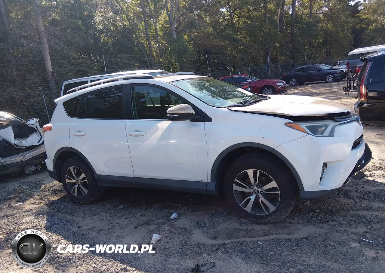 2016 Toyota Rav4 Xle VIN:2T3WFREV7GW281267 - 13