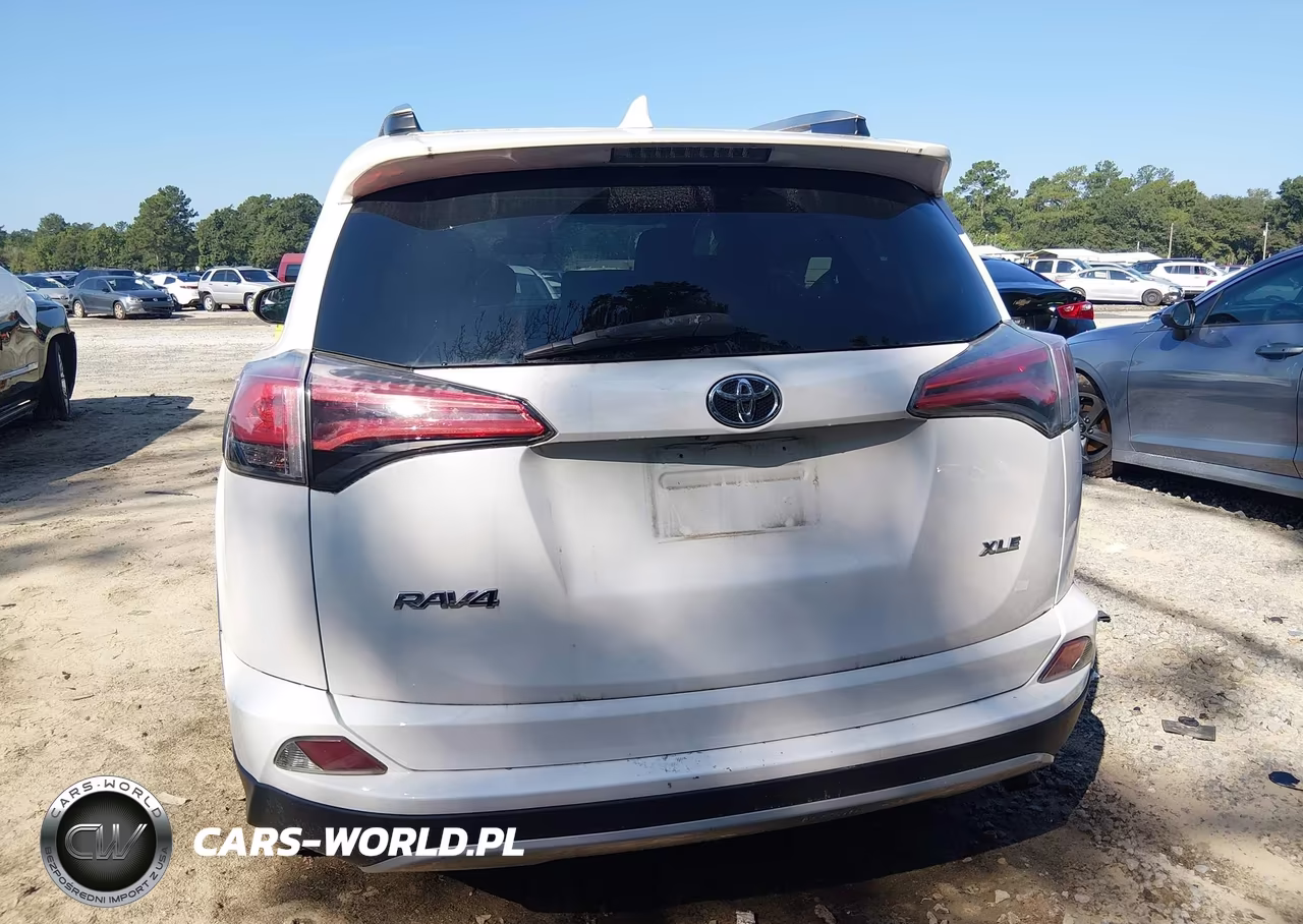 2016 Toyota Rav4 Xle VIN:2T3WFREV7GW281267 - 16