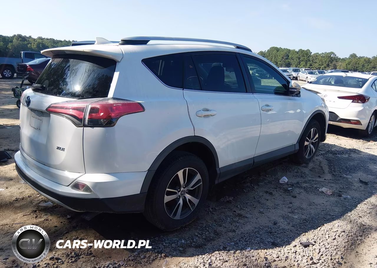 2016 Toyota Rav4 Xle VIN:2T3WFREV7GW281267 - 4