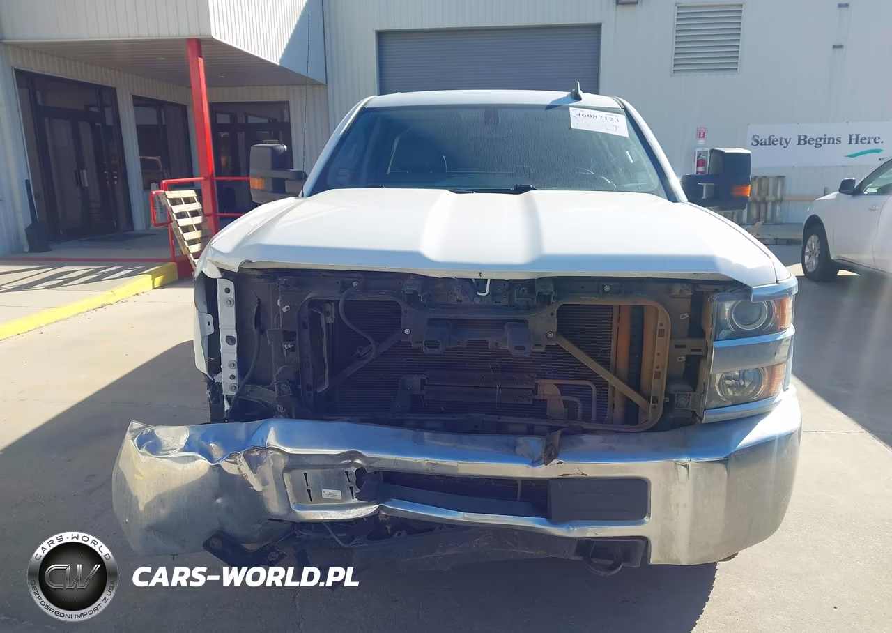 2016 Chevrolet Silverado 2500Hd Wt VIN:1GC2CUEG8GZ415702 - 12