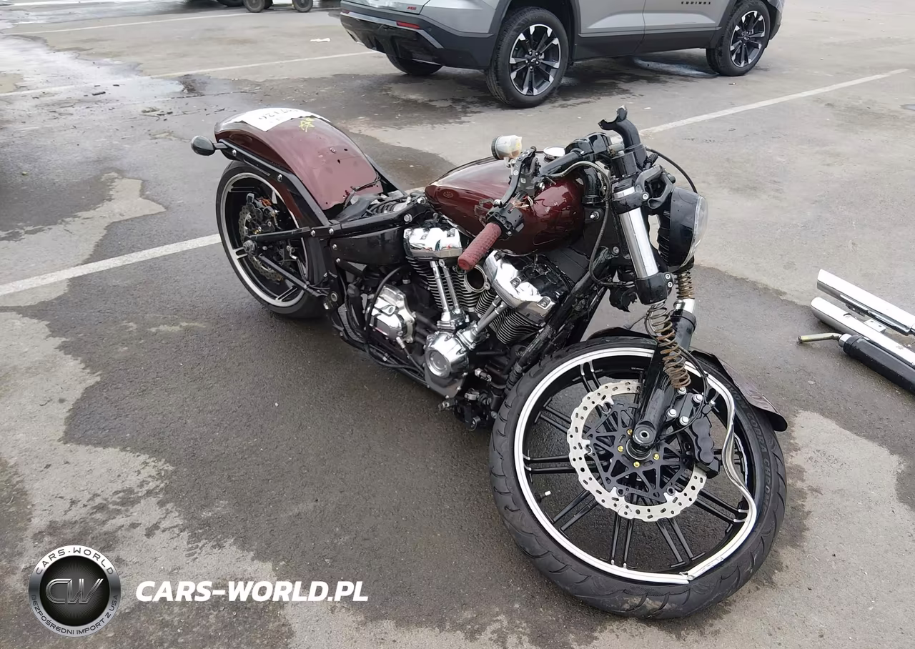 2018 Harley-Davidson Fxbrs Breakout 114 – zdjęcie 1 z 11