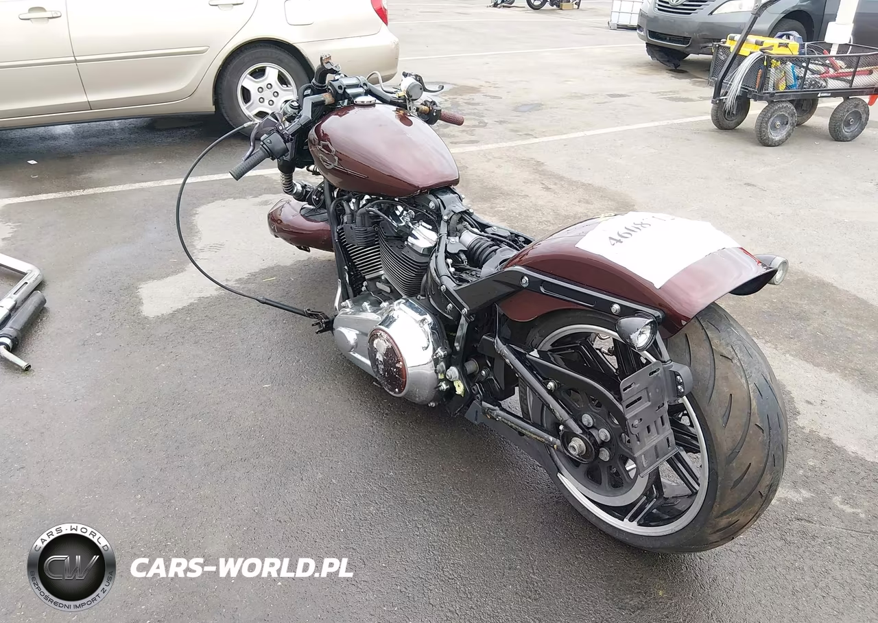 2018 Harley-Davidson Fxbrs Breakout 114 VIN:1HD1YHK13JC077560 - 3