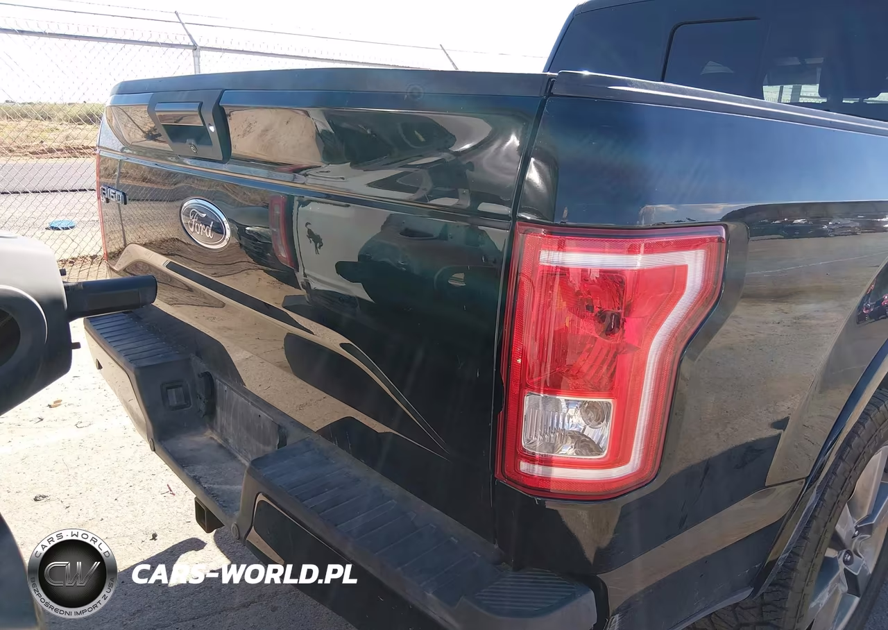 2016 Ford F-150 Xlt VIN:1FTEW1EG8GKF69032 - 16