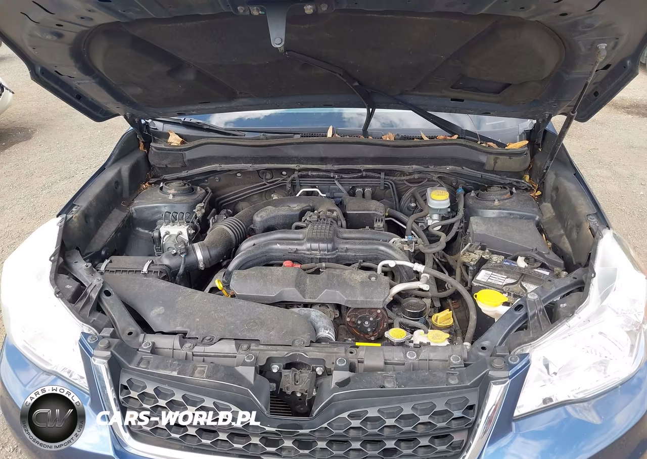 2014 Subaru Forester 2.5I Premium VIN:JF2SJAEC5EH523426 - 10