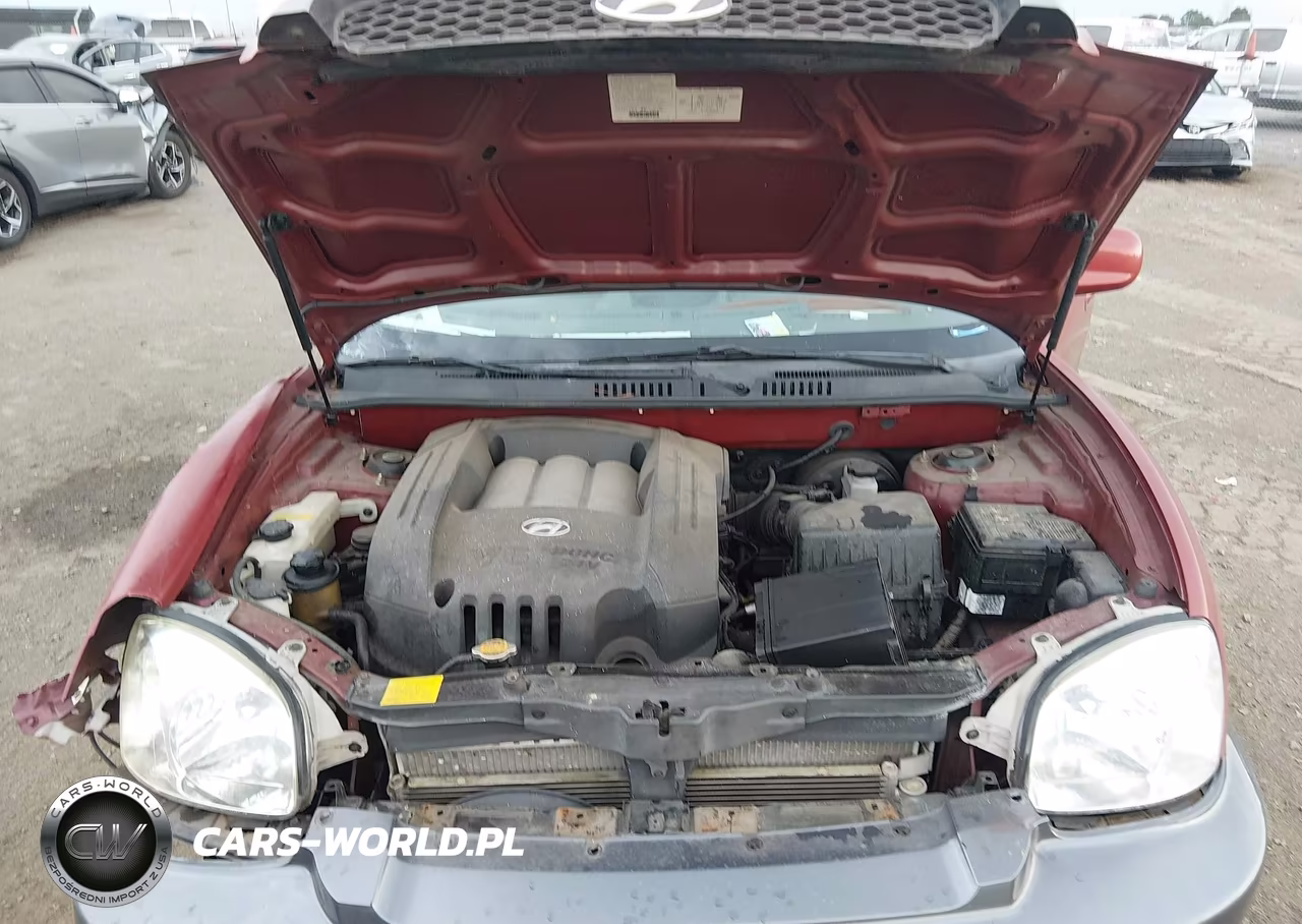 2003 Hyundai Santa Fe Gls-Lx VIN:KM8SC13D93U417985 - 10