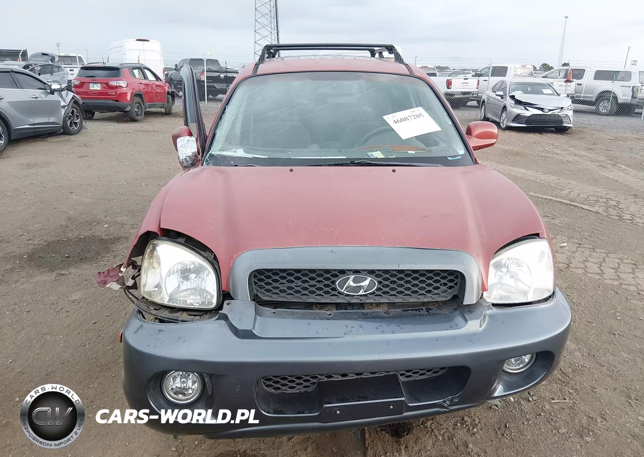 2003 Hyundai Santa Fe Gls-Lx VIN:KM8SC13D93U417985 - 12